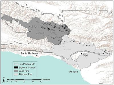 Influence of topography, vegetation, weather, and climate on Big-cone Douglas-Fir fire refugia and high fire-induced mortality after two large mixed-severity wildfires